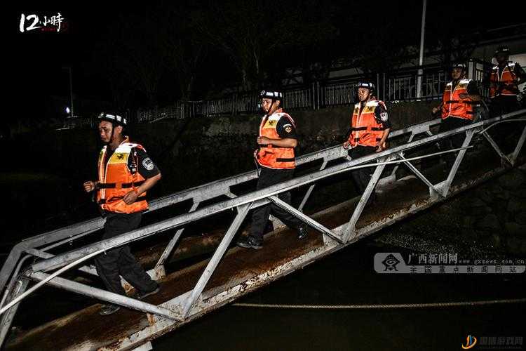 缉私警察游戏攻略，全面解析如何达成搬运工成就的步骤与技巧