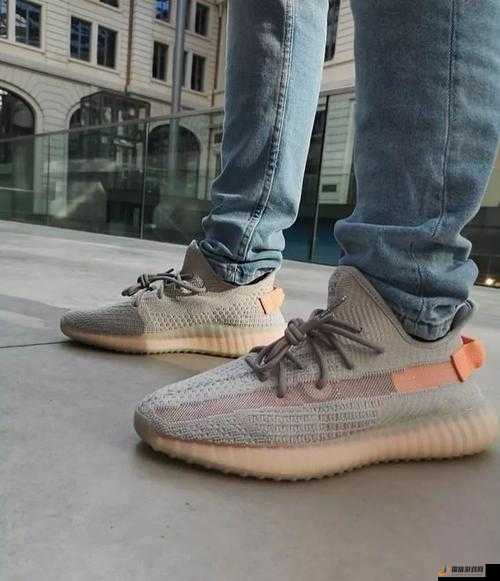 Yeezy 亚洲限定与美洲限定：时尚潮流界的璀璨双星引领新潮流